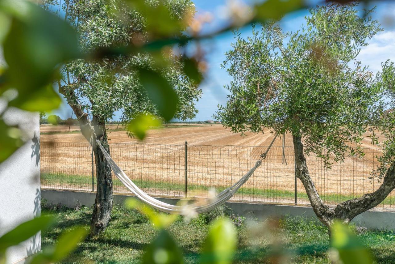 פורטו רקנאטי Ortopi Country Canapa House מראה חיצוני תמונה